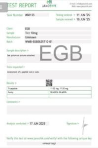 Screenshot Item #02T10 <br> 10mg